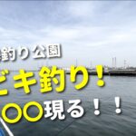 【市原オリジナルメーカー海釣り公園】デカ〇〇現る！サビキ釣りで春の美味しい回遊魚を狙う！