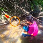 秘境⁉️山奥まで続く川で…