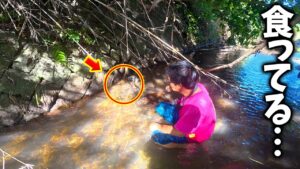 秘境⁉️山奥まで続く川で…