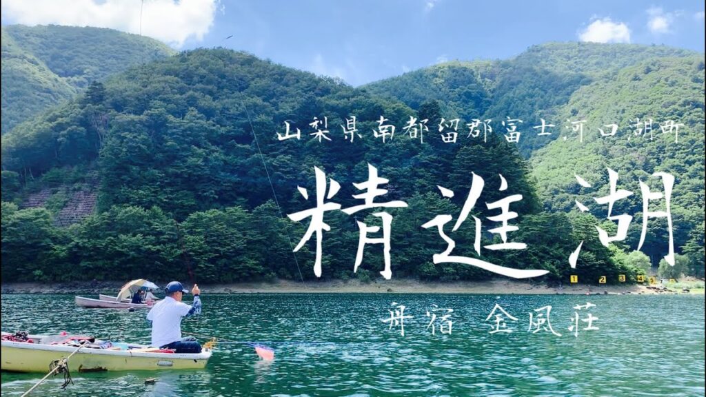 【精進湖】舟宿 金風荘 中央ロープでへらぶな釣り