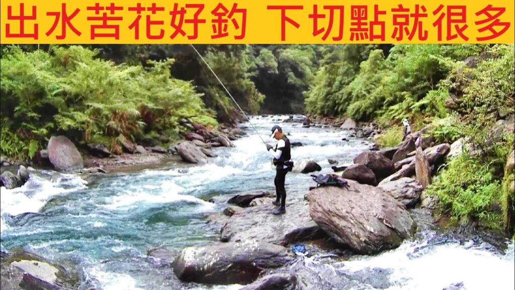 出水苦花好釣 下切點就很多 @最近水量很棒 隨便咬趕快衝