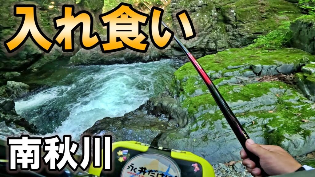 渇水の南秋川で渓流釣りしたら入れ食いだった。