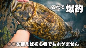 【バス釣り】簡単な真夏の川スモールを釣りながら初心者の方に解説します