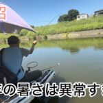 びん沼へらぶな釣り！今年の暑さ異常です！ガラガラ草ボーボー草刈りしましたw