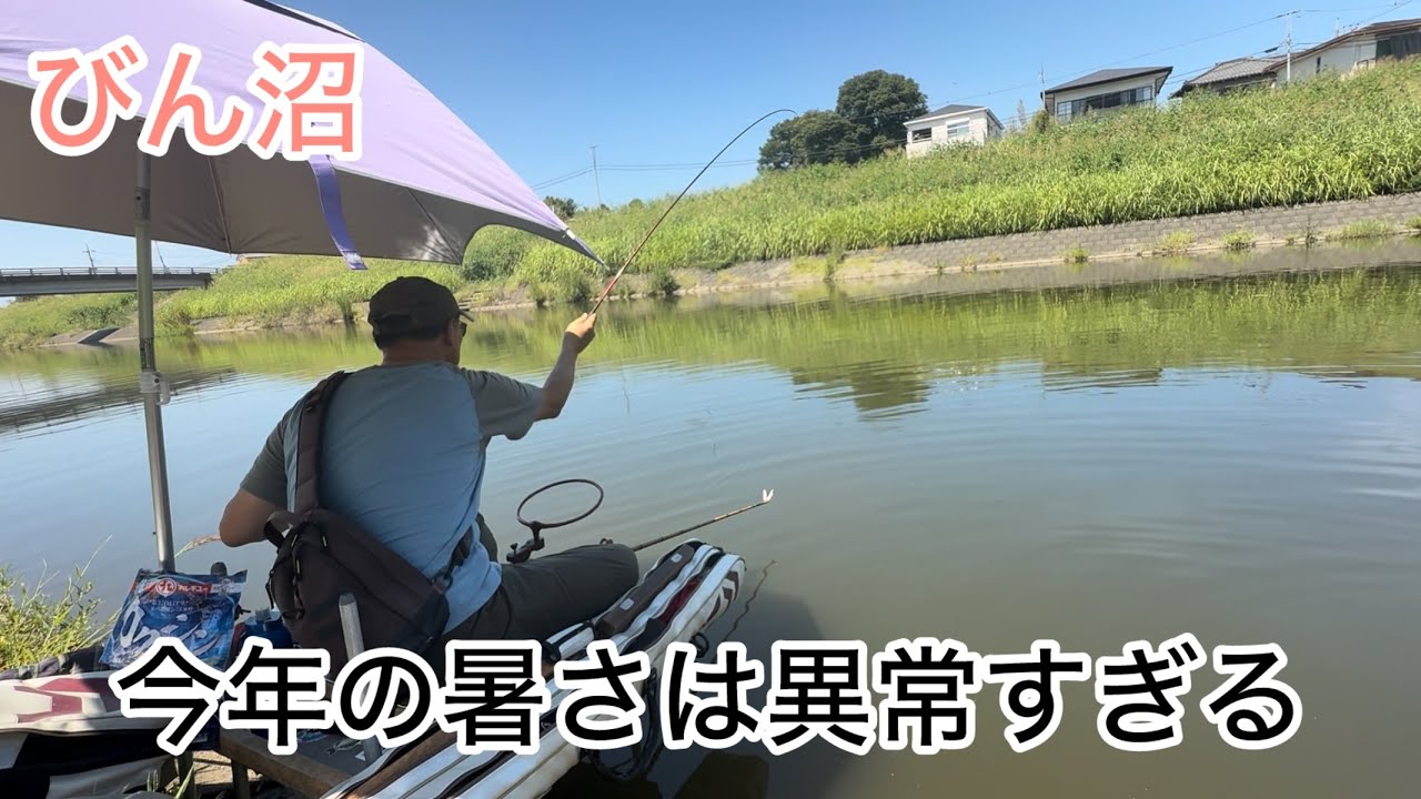 びん沼へらぶな釣り!今年の暑さ異常です!ガラガラ草ボーボー草刈りしましたw