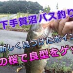 【下手賀沼　バス釣り】新しく見つけたポイント今井の桜で釣れた嬉しい1匹