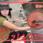 [弁天フィッシングセンター]ヘラブナ湧きまくり！1年中高活性の楽しい管理釣り場さん🔰