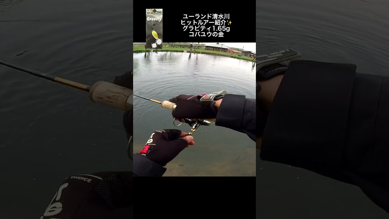 グラビティ1.65g【ユーランド清水川】#shorts #fishing #釣り#管理釣り場 #エリアトラウト