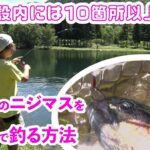 10を超える池から成る管理釣り場！低比重スプーンで虫パターンのニジマスを釣る