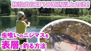 10を超える池から成る管理釣り場！低比重スプーンで虫パターンのニジマスを釣る