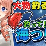【釣って！海つり】大物釣りたい!🐙🦈高評価100耐久!!雑談魚釣り【朝活】【綺羅コオリ】 #vtuber