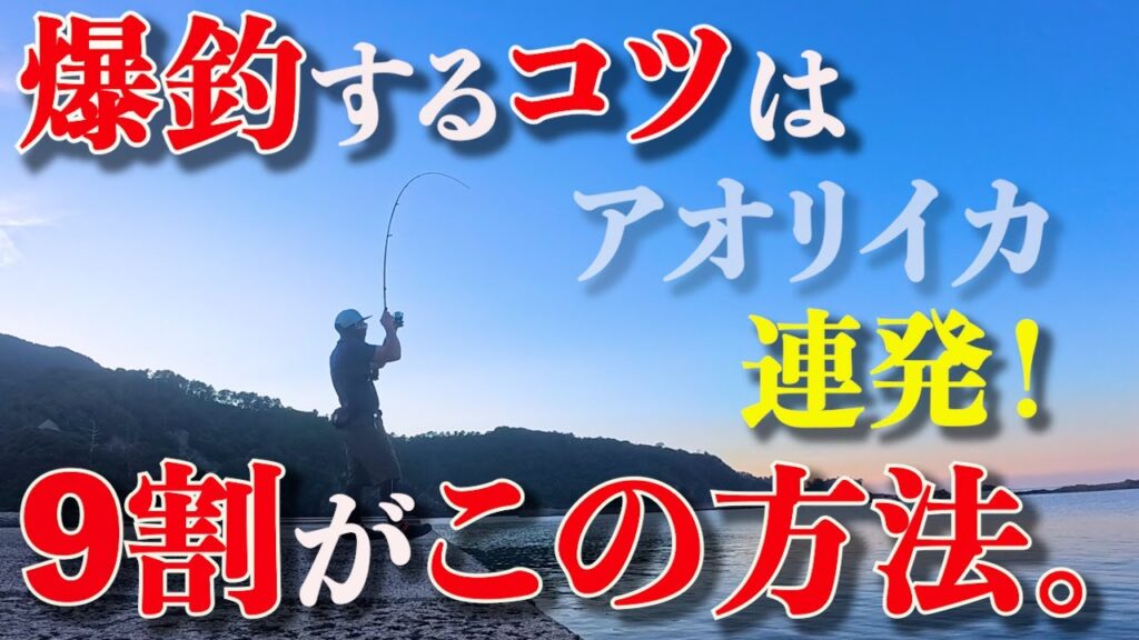 【エギング】見ないと損です！アオリイカを10杯以上釣るにはこの方法が1番釣れちゃいます！