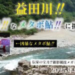 益田川‼️凶暴なメタボ鮎に挑む‼️伝家の宝刀銀影競技メガトルク大鮎10m 2025年8/25