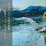 【#13】RELIER(ルリエ) - 効果的［in加賀フィッシングエリア］/エリアトラウト/管釣りタイトルなし