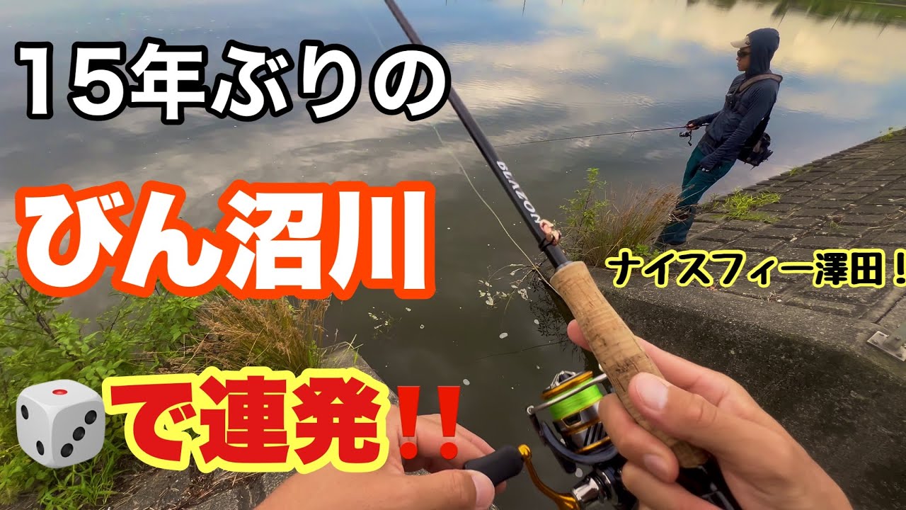 15年ぶりの埼玉県びん沼川で良型連発‼️【バス釣り】【バスフィッシング 】【9月】【サイコロラバー】【ナイスフィー澤田】