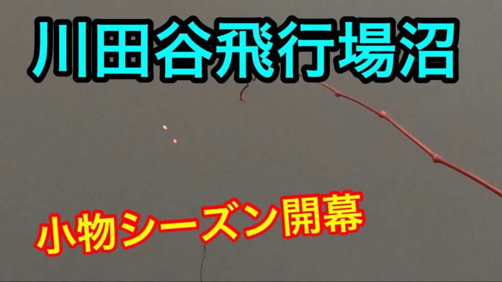 2023.11.12「沼」で釣りしてみた【飛行場沼】#釣り