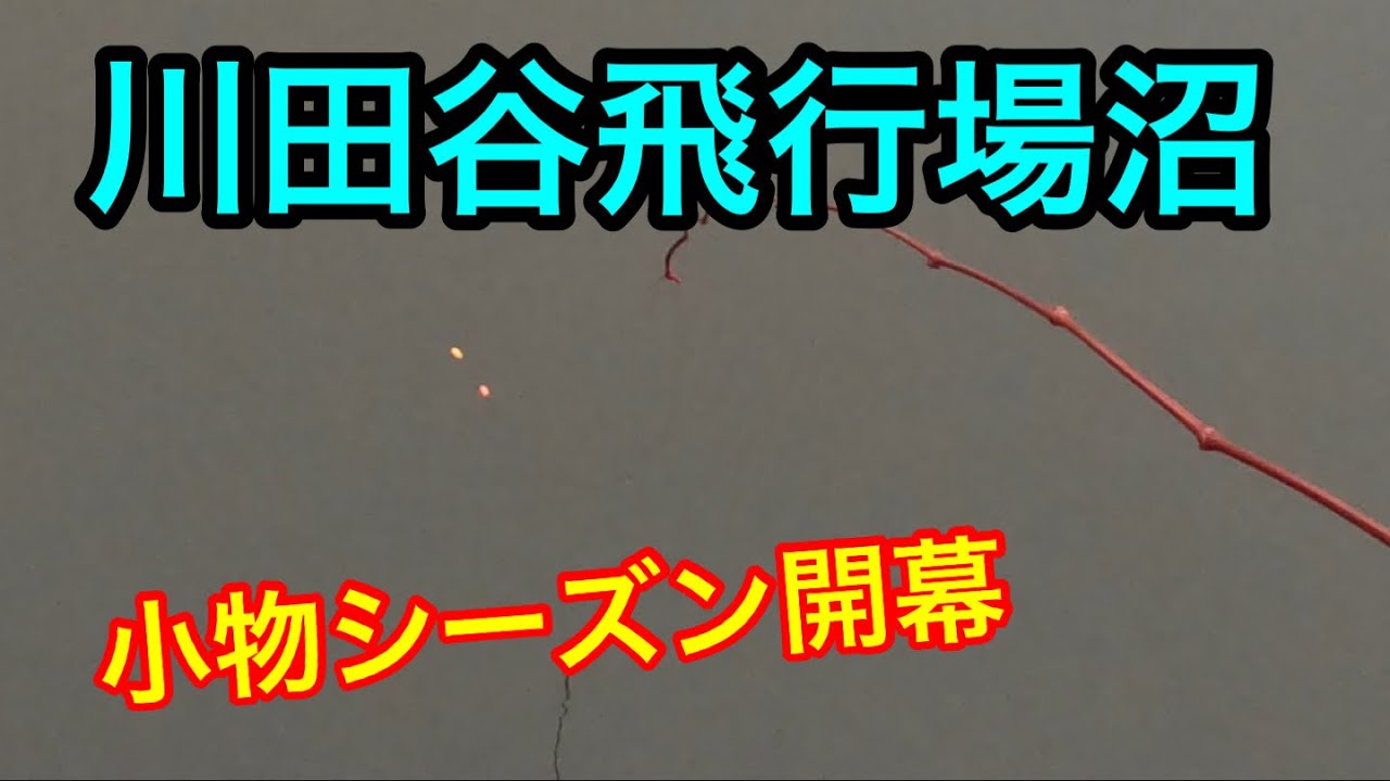 2023.11.12「沼」で釣りしてみた【飛行場沼】#釣り
