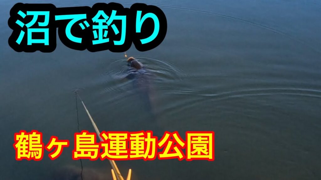 沼で釣り【鶴ヶ島運動公園】2024.3.29