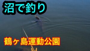 沼で釣り【鶴ヶ島運動公園】2024.3.29