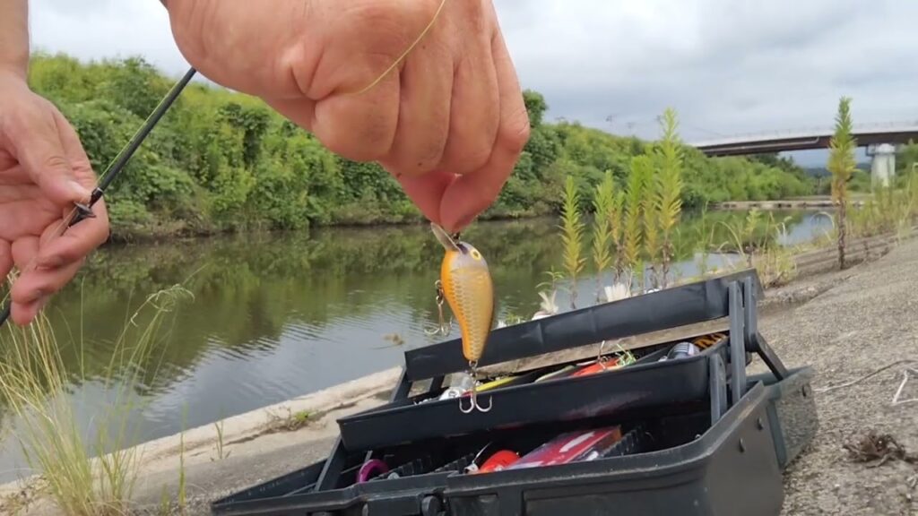 【釣りなう 2025】宮城・吉田川　真夏のスモールマウスバスフィッシング！#ハードルアーオンリー