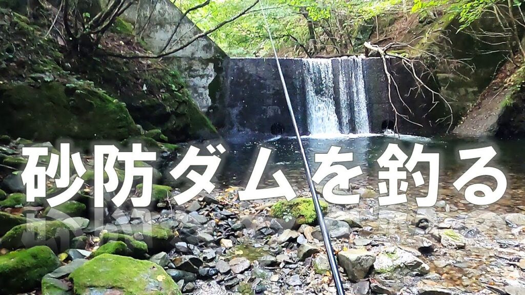 砂防ダムで釣る【渓流エサ釣り】2025