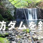 砂防ダムで釣る【渓流エサ釣り】2025