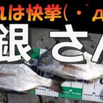 【浜名湖　釣り】水中映像　2025年 浜名湖の夏・新居海釣り公園　かぶせ釣り　想定外の平鯛（ヘダイ）連発で自己記録更新！