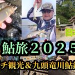 鮎旅2025。福井県、九頭竜川で鮎釣り＆プチ観光。