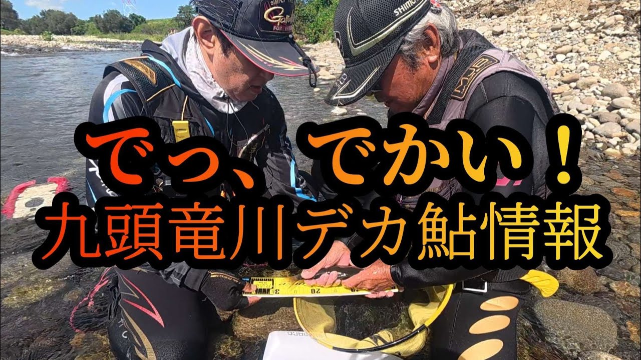 【でっ、でかい！】九頭竜川デカ鮎情報　2025鮎釣り