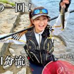 2025年ラストの鮎釣り！九頭竜川