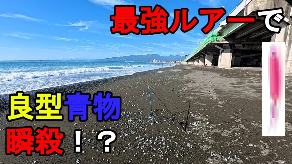【神奈川県某所】最強ルアーで良型青物が瞬殺！？秋の海釣りハイシーズン期間に、関東地方の相模湾側に面している砂浜（サーフ）の釣り場で、ルアー釣り仕掛けで数日間釣りしてみたら…！【2025年中下旬】