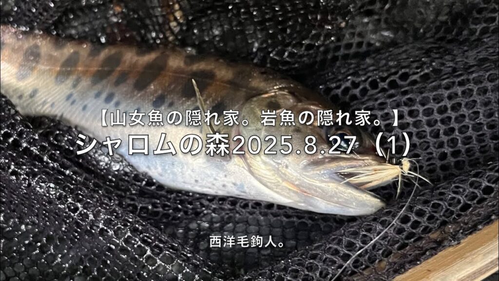 【山女魚の隠れ家。岩魚の隠れ家。】シャロムの森2025 8 27（1）