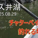 【津久井湖バス釣り】チャターベイトで釣れる場面(2025.08.29)
