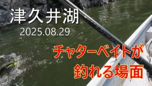 【津久井湖バス釣り】チャターベイトで釣れる場面(2025.08.29)