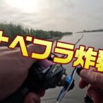 2025.8月【印旛沼水系バス釣り】ハンドメイドルアーの【ナベフラ】に感謝感謝