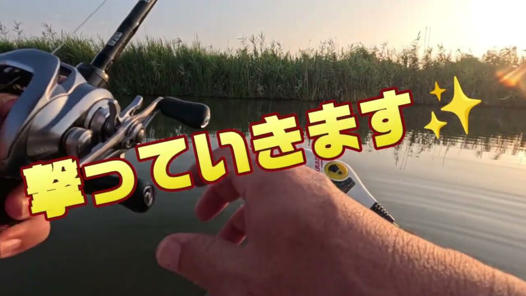 2025.8月【印旛沼水系バス釣り】いつもテキサス撃ちで面白くない動画。なので今回は…