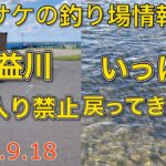 浜益川立ち入り禁止　いっぱい帰ってきたよ〜【2025.9.18】サケの釣り場情報