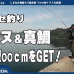爆釣（釣れすぎ）注意！フカセ釣りで、過去一の釣果 しまなみ海道 大三島 2025.9.9 #26