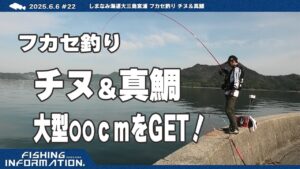 爆釣（釣れすぎ）注意！フカセ釣りで、過去一の釣果 しまなみ海道 大三島 2025.9.9 #26