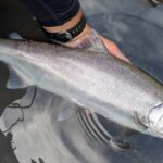 2025年6月  幻の50ｃｍアマゴ！！【渓流餌釣り】