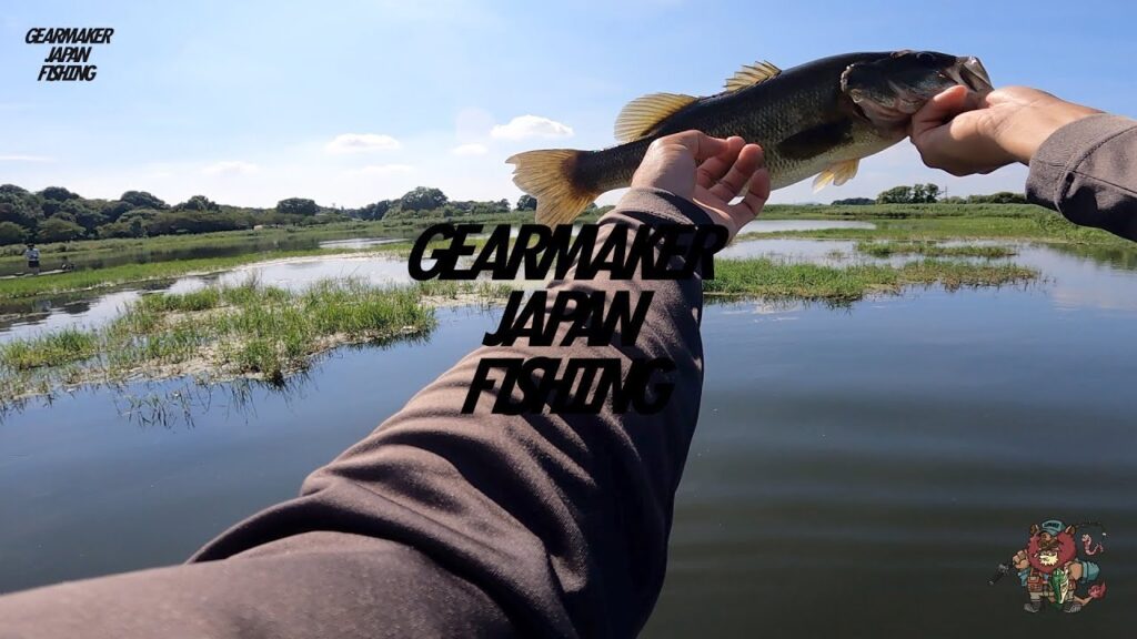 【多々良沼】バス釣り 2025年8月中旬 #アーデント #F500 #オジーズ