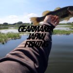 【多々良沼】バス釣り 2025年8月中旬 #アーデント #F500 #オジーズ