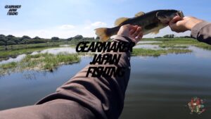 【多々良沼】バス釣り 2025年8月中旬 #アーデント #F500 #オジーズ