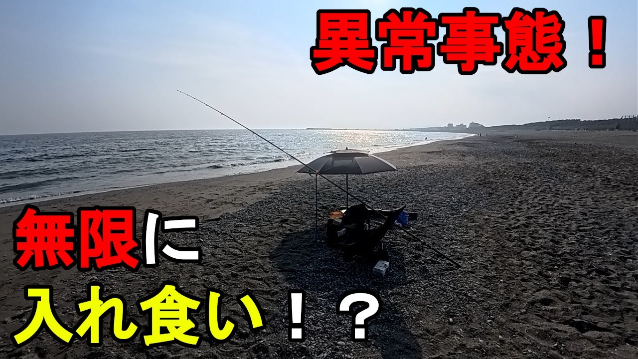 【神奈川県某所】真夏の海で異常事態発生!特大高級魚が無限に入れ食い!?お盆休み明けの残暑が厳しい時期に、関東地方にある相模湾の砂浜(サーフ)エリアの釣り場で釣りしてみたら…!【2025年8月下旬】