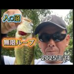 【バス釣り】入○沼バス釣り_無限ループ@2025/8/15