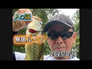 【バス釣り】入○沼バス釣り_無限ループ@2025/8/15