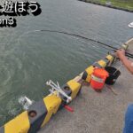 【釣り】千葉県旭市にある飯岡漁港にて夕方から夜まで釣りをしてきました。2025年8月16日より【千葉県】