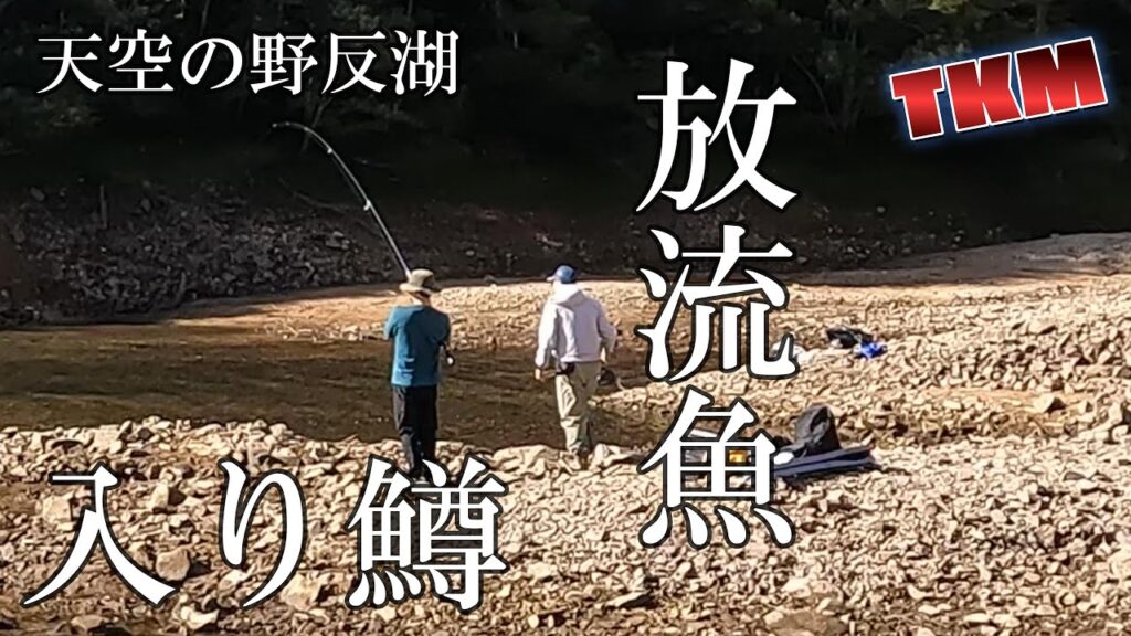 【天空の野反湖】放流魚が遅れてやってくる　2025年8月30日　フライフィッシング　ルアーフィッシング