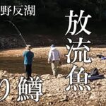 【天空の野反湖】放流魚が遅れてやってくる　2025年8月30日　フライフィッシング　ルアーフィッシング