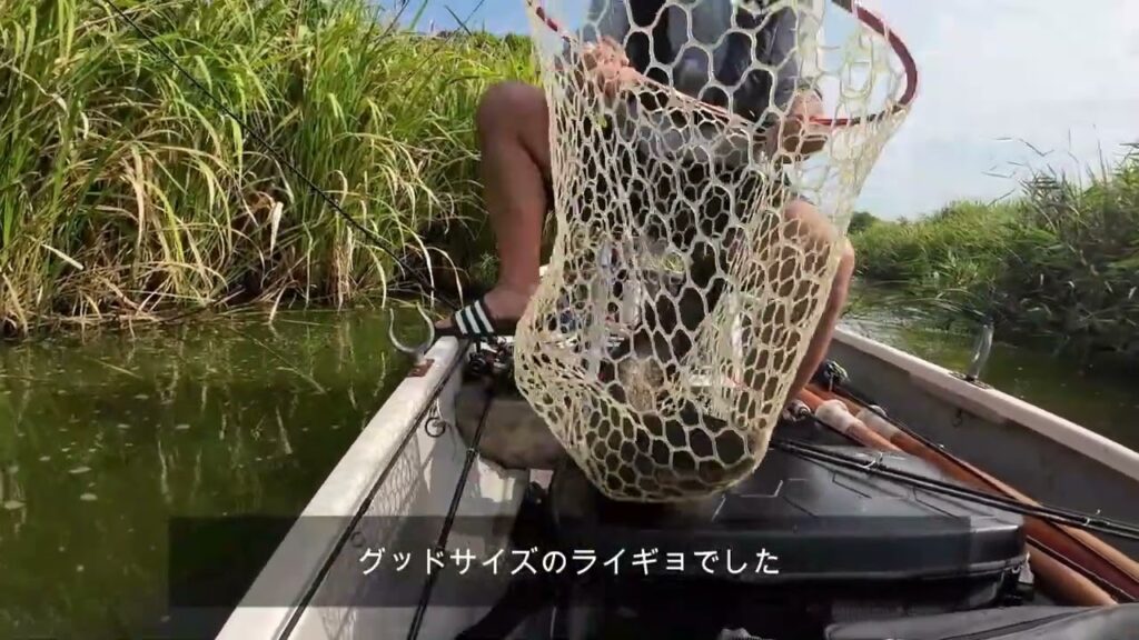 ブラックバス釣行　印旛沼　2025年8月31日